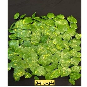 تصویر دیوار سبز پتوس ابلق 