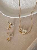 تصویر کالکشن : صدف طبیعی SEASHELL