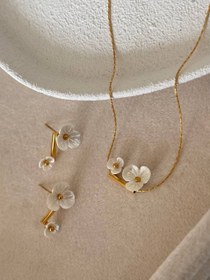 تصویر کالکشن : صدف طبیعی SEASHELL