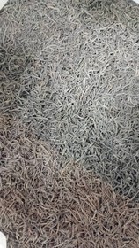 تصویر چای سیاه سوزنی دارجلینگ 