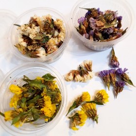 تصویر گل خشک شیپوری 