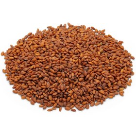 تصویر بذر شاهی برگ ریز 10، 100 و 500 گرمی