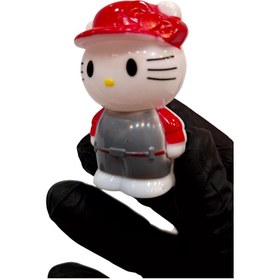 تصویر شانسی کیتی خارجی 