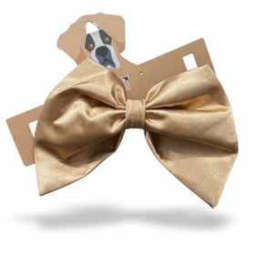 تصویر پاپیون گردنی سگ و گربه مدل طلایی 