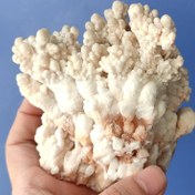 تصویر آراگونیت سفید درختی سایز بزرگ 