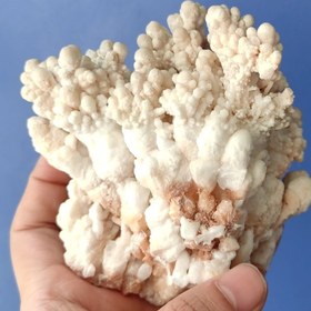 تصویر آراگونیت سفید درختی سایز بزرگ 