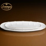 تصویر دیس ماهی خوری کوچک 