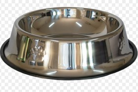 تصویر ظرف آب سیلیکونی 