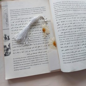 تصویر نشانگر کتاب بابونه bookmarker