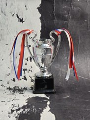 تصویر جام چمپیونز لیگ ۱۶ سانتی متر 