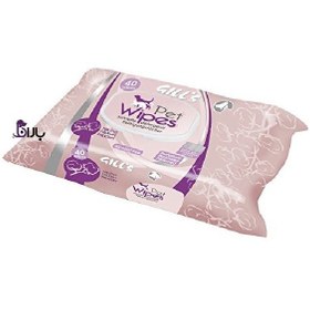 تصویر دستمال مرطوب سگ و گربه جیلز Gill's Pet Wipes