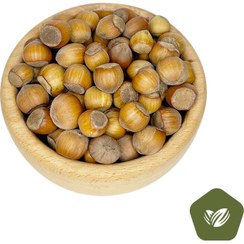 تصویر فندوق ارگانیک اشکور 