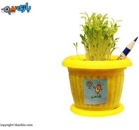 تصویر مداد کاشتنی تکی مریان 