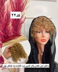 تصویر چتری فرفری - کد 