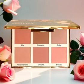 تصویر پالت رژ گونه هو هو آرتیستا | Artista HOHO Blush Palette 