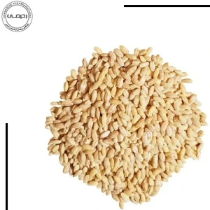 تصویر فروشگاه بازرگانی ارگانیک رحیمی شادگان