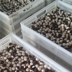 تصویر کشک گرد دو رنگ یک کیلویی درجه یک 