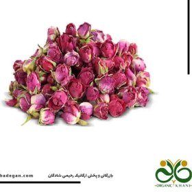 تصویر غنچه گل سرخ 