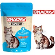 تصویر تشویقی گربه کرانچی اسنکی اسپانیا طعم سالمون / جلوگیری از پیری زودرس 60 گرم Snacky Crunch Anti - Aeg 60g