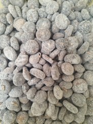 تصویر انجیر آردی استهبان 