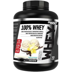 تصویر وی ۱۰۰ جاینت | GIANT SPORTS WHEY 100 