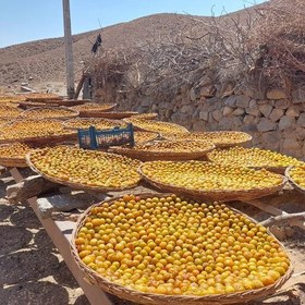 تصویر الو بخارا افتابی درشت (اصطلاح محلی توچح) 