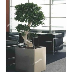 تصویر بونسای طرح S مدل BS30 