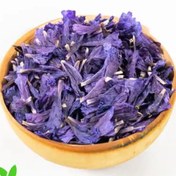 تصویر گل گاوزبان 