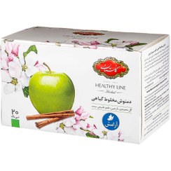 تصویر دمنوش آرامش گلستان با طعم سیب و دارچین بسته ۲۰ عددی 