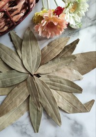 تصویر برگ کاری ۵۰ گرمی دیسکورید 