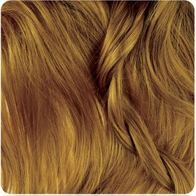 تصویر رنگ موی بیول کد 6.3 بلوند طلایی تیره biol Hair Color (No 6.3)