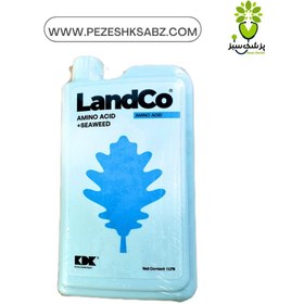 تصویر جلبک دریایی - 0.5کیلویی Seaweed