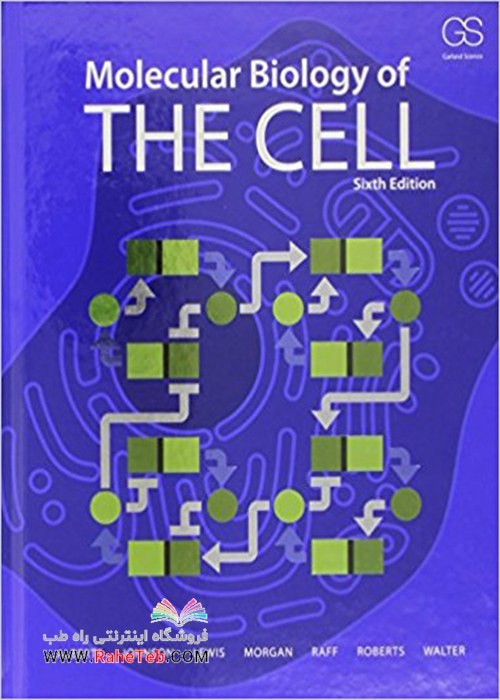健康・医学 THE CELL The Problems Book Molecular Biology of the Cell 3E - The Problems Book: Wilson