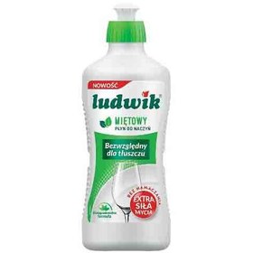 تصویر مایع ظرفشویی 1350 گرمی لودویک با رایحه نعنا ludwik® Washing - Up Liquid Mint, 1350gr