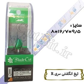 تصویر تیغ انگشتی (سریR) (cnc) قطر12.7 کارگیر9.5 شفت8 R (گردی لبه)6.35 Proucut 