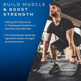 تصویر ماسل بیلد 90 کپسول ماسل تک Muscletech Muscle Builder 90 caps