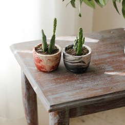 تصویر گلدان بتنی کارو مدل لیوانی |گلدان کوچک |گلدان کاکتوس 