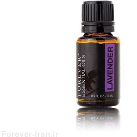 تصویر روغن اسطوخدوس فوراور کمک به درمان آپنه و برونشیت Essential Oils - Lavender