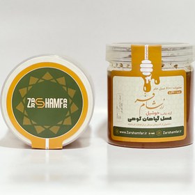 تصویر عسل گیاهان کوهی کرمانشاه ۶۰۰ گرمی Honey of mountain plants