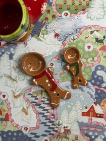 تصویر پیمانه جینجر 