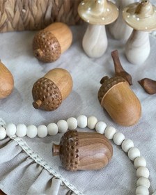 تصویر بلوط دکوراتیو 