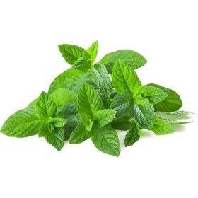 تصویر پونه ( 50 گرمی ) 