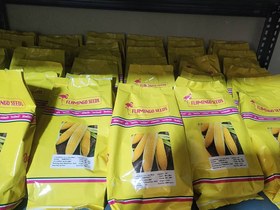 تصویر بذر ذرت شیرین سمیرا Sweet Corn SAMYRA F1 Flamingo Seeds بذر ذر