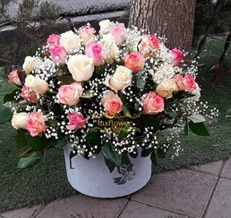 تصویر باکس گل ۰۰۳ ساده۳