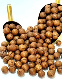 تصویر فندق ماکادمیا - یک کیلو Macadamia