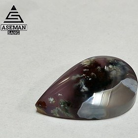 تصویر شجر S65 