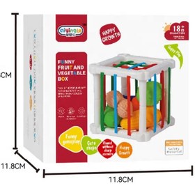 تصویر مکعب هوش کشی میوه جات 