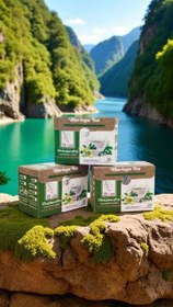 تصویر دمنوش مورینگا 