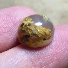 تصویر عقیق شجر زیبا خاص 