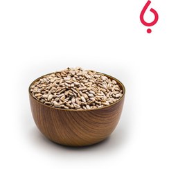 تصویر مغز تخمه آفتاب گردان ایرانی 